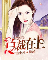 总裁在上