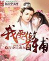 我要做首辅
